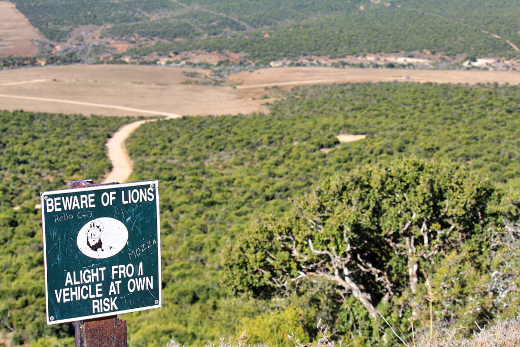 Addo Elephant Park