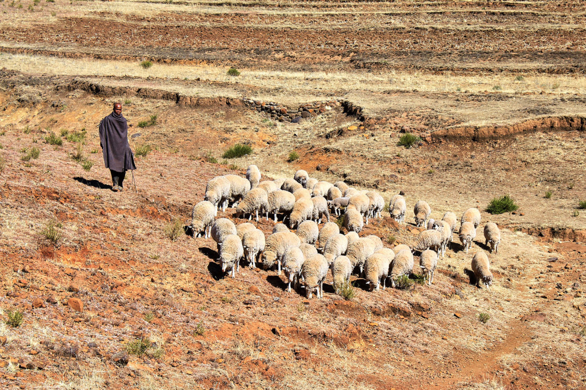 Dorfbesuch in Lesotho