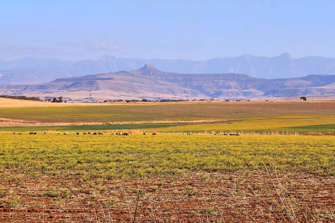 Weiterfahrt in die Drakensberge