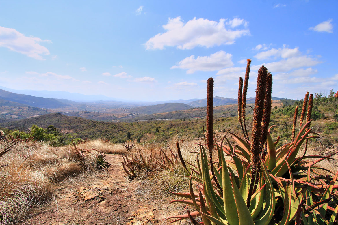 Fahrt nach Swaziland