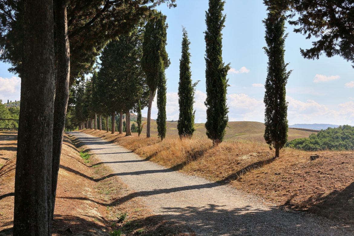 Parco della Canonica