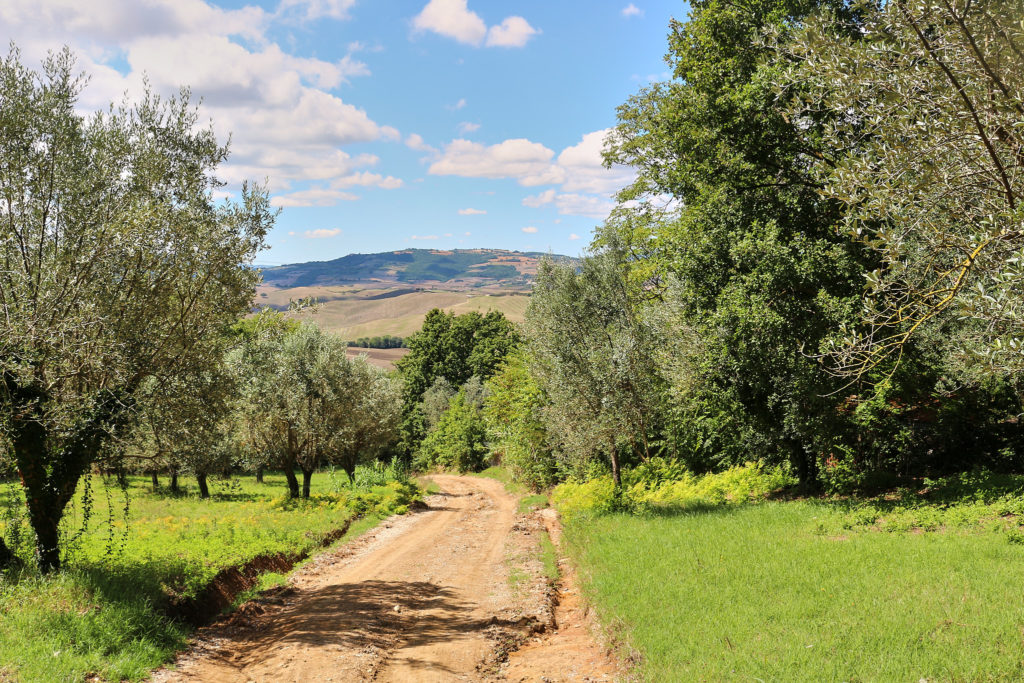 Val d'Orcia